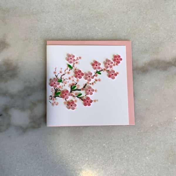 Cherry Blossom 